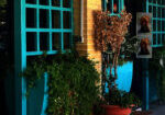 Image-Gallery6